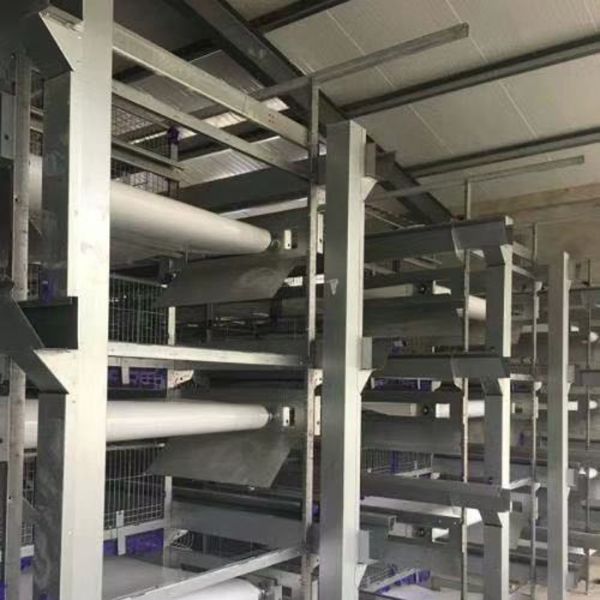 肉雞全自動(dòng)清糞機(jī)